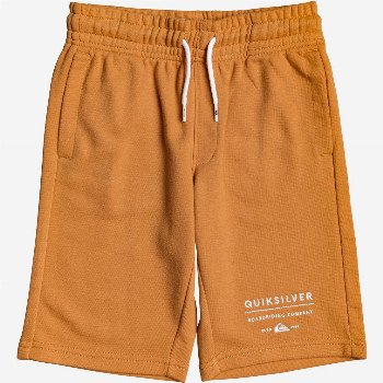 QuiksilverEASY DAY - SWEAT SHORTS FOR BOYS 8-16 ORANGE