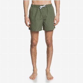 Quiksilver EVERYDAY 15" - SWIM SHORTS GREEN