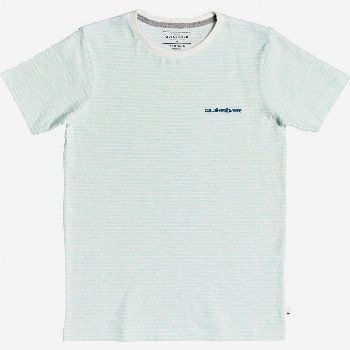 Quiksilver KENTIN - T-SHIRT FOR BOYS 8-16 WHITE