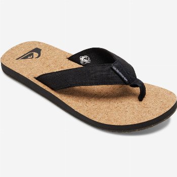 Quiksilver MOLOKAI ABYSS NATURAL - SANDALS FOR MEN MULTICOLOR