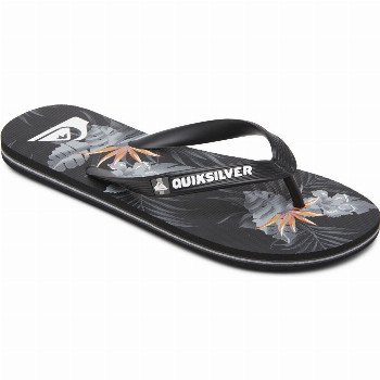 QuiksilverMOLOKAI EVERYDAY PARADISE - FLIP-FLOPS FOR MEN BLACK