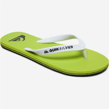QuiksilverMOLOKAI - FLIP-FLOPS FOR MEN BLACK