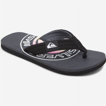 QuiksilverMOLOKAI LAYBACK - SANDALS FOR MEN GREY