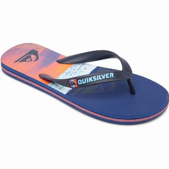 Quiksilver MOLOKAI PANEL - FLIP-FLOPS FOR BOYS BLUE