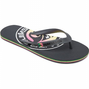 Quiksilver MOLOKAI PULSE - FLIP-FLOPS FOR MEN GREY
