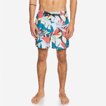 Quiksilver MYSTIC SESSION 15" - SWIM SHORTS FOR MEN BLUE