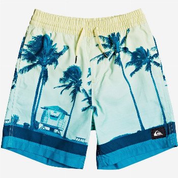 Quiksilver PARADISE 15" - SWIM SHORTS FOR BOYS 8-16 BLUE