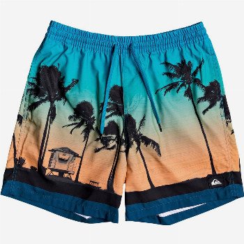 Quiksilver PARADISE 17" - SWIM SHORTS FOR MEN BLUE