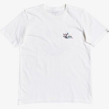 Quiksilver SHALLOW WATER - T-SHIRT FOR BOYS 8-16 WHITE