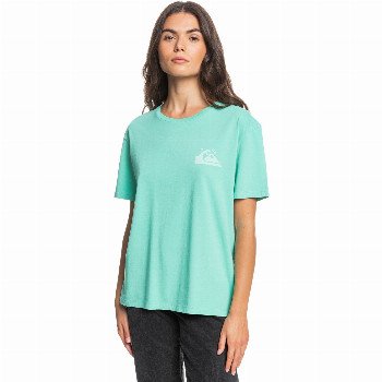 Quiksilver STANDARD - ORGANIC T-SHIRT FOR WOMEN GREEN