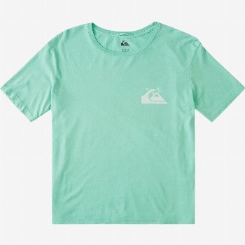 Quiksilver STANDARD - ORGANIC T-SHIRT FOR WOMEN GREEN