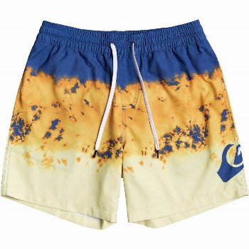 Quiksilver THUNDERHEAD 15" - SWIM SHORTS FOR BOYS 8-16 BLUE