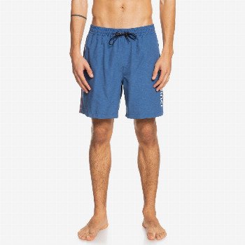 Quiksilver VERT 15" - SWIM SHORTS FOR MEN BLUE