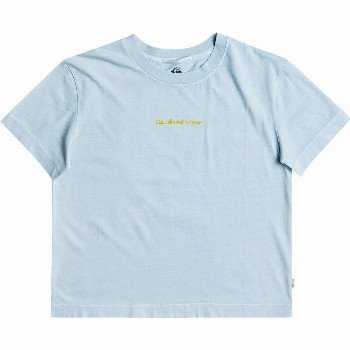 Quiksilver WOMENS - ORGANIC T-SHIRT FOR WOMEN BLUE