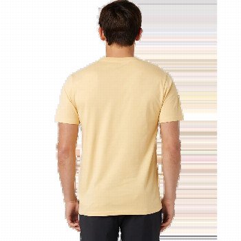 Rip Curl BADGE T-SHIRT IN WASHED YELLOW