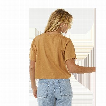 Rip Curl BLOCK PARTY CROP T-SHIRT IN LIGHT BROWN