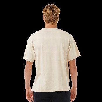 Rip Curl PILL ICON T-SHIRT IN VINTAGE WHITE