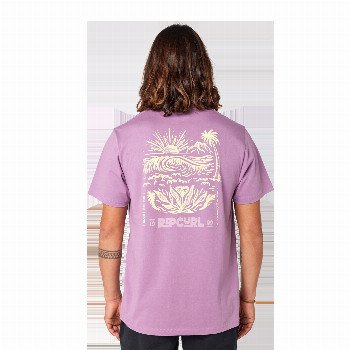 Rip Curl SURF PARADISE F & B T-SHIRT IN DUSTY PURPLE