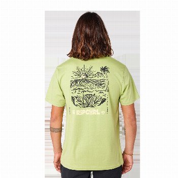 Rip Curl SURF PARADISE F & B T-SHIRT IN LIGHT KHAKI