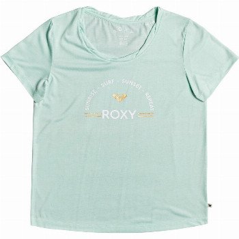 Roxy CHASING THE SWELL - T-SHIRT FOR WOMEN GREEN