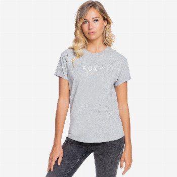 Roxy EPIC AFTERNOON WORD - T-SHIRT FOR WOMEN GREY