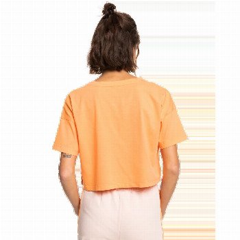 Roxy ESSENTIAL CROP T-SHIRT IN MOCK ORANGE