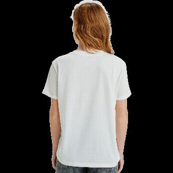 Roxy OCEAN POSTER T-SHIRT IN EGRET