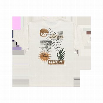 RVCA DESERTSCAPE T-SHIRT IN ANTIQUE WHITE