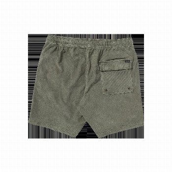 RVCA ESCAPE ELASTIC CORD WALKSHORTS II IN SAGE LEAF