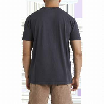 RVCA HAWK EYE T-SHIRT IN WASHED BLACK