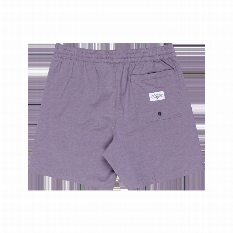 Every Other Day Layback Volley Shorts in Lavender