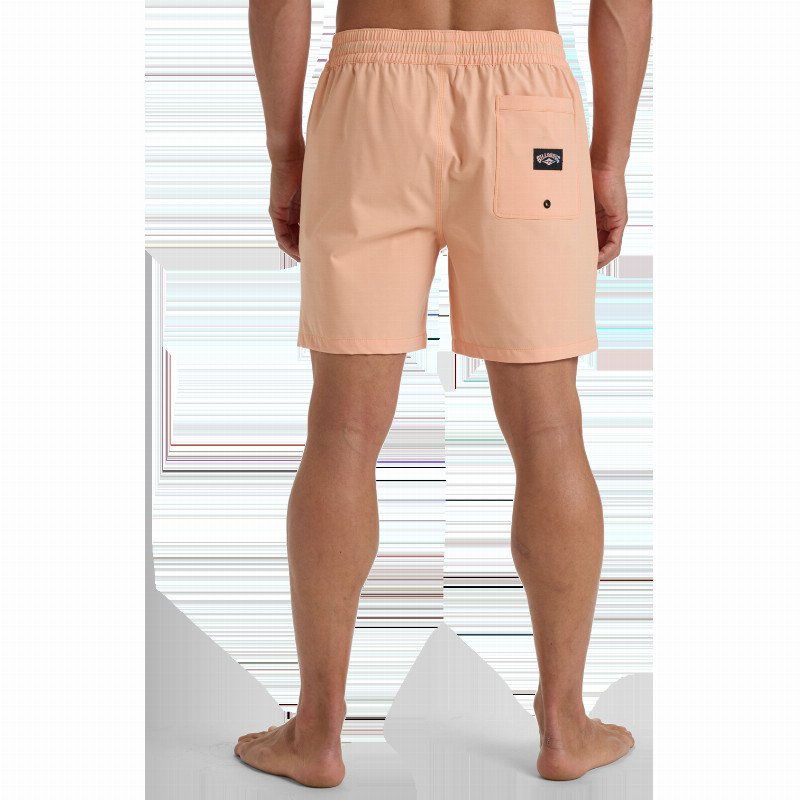 EVERY OTHER DAY LAYBACK VOLLEY SHORTS IN PEACH