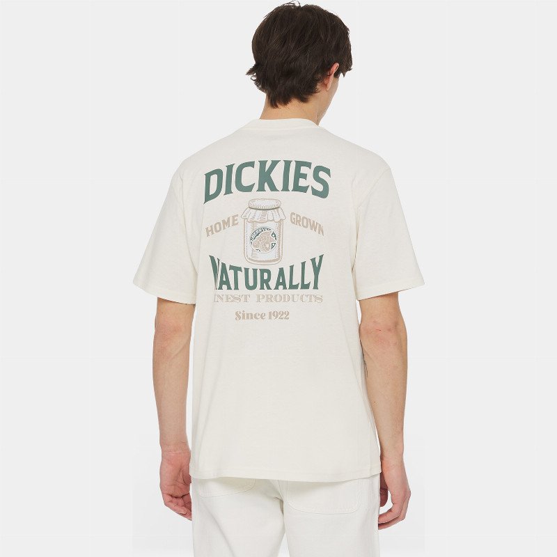 Dickies Elliston Short Sleeve T-Shirt Man Cloud 