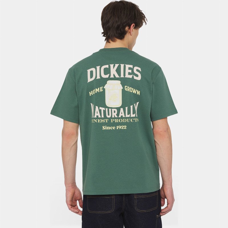 Dickies Elliston Short Sleeve T-Shirt Man Forest 