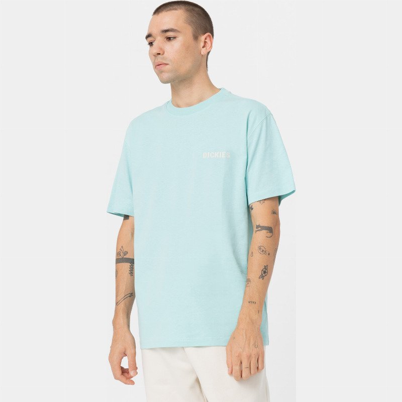 Dickies Hays Short Sleeve T-Shirt Man Pastel Turquoise 
