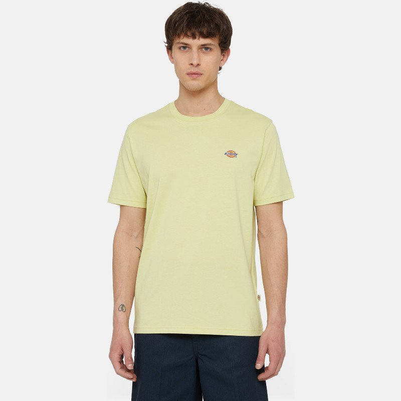 Dickies Mapleton Short Sleeve T-Shirt Man Pale Green 