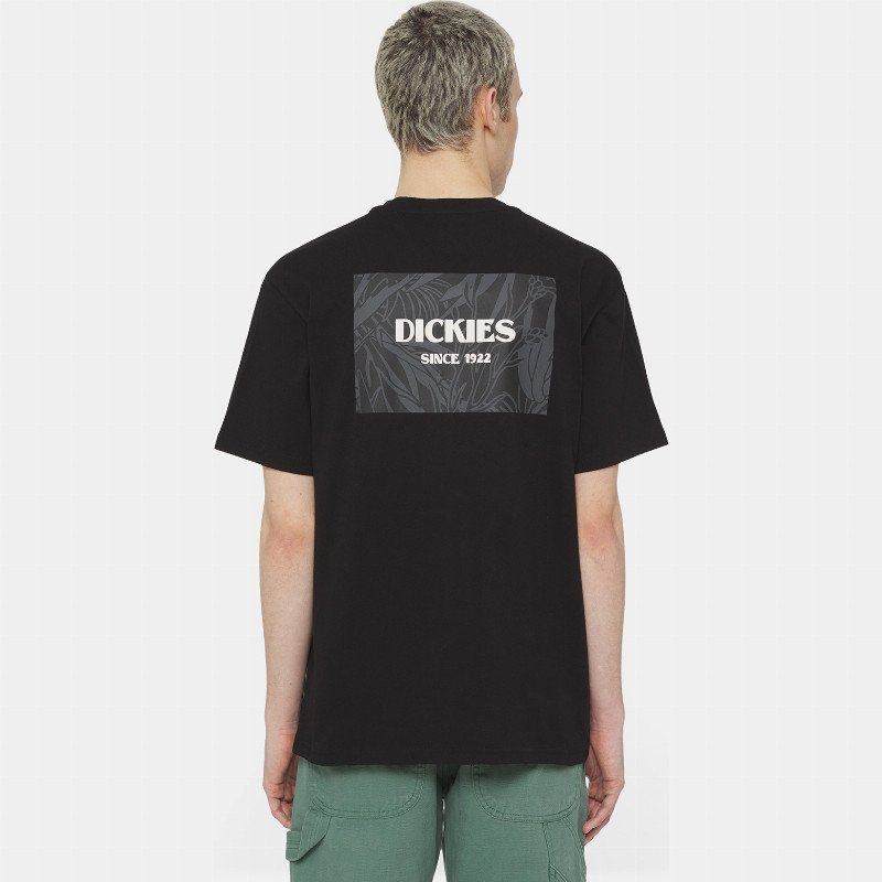Dickies Max Meadows Short Sleeve T-Shirt Man Black 