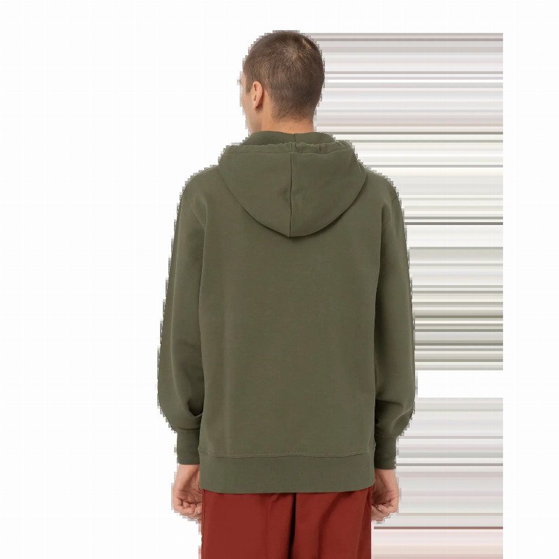 Mount Vista Hoodie in Dark Olive