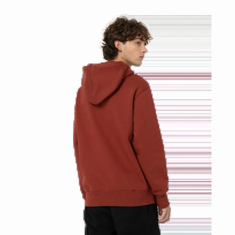 Park Hoodie in Fired Brick