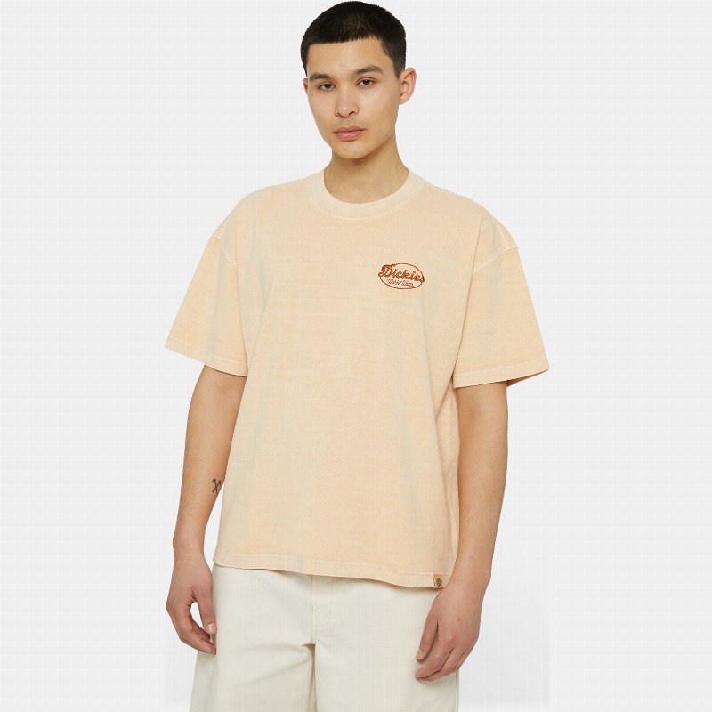 Dickies Rustburg Short Sleeve T-Shirt Man Apricot 