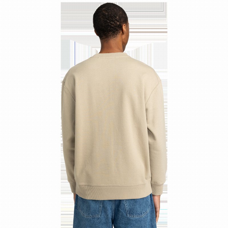 Cornell Cipher Sweatshirt in Aluminum