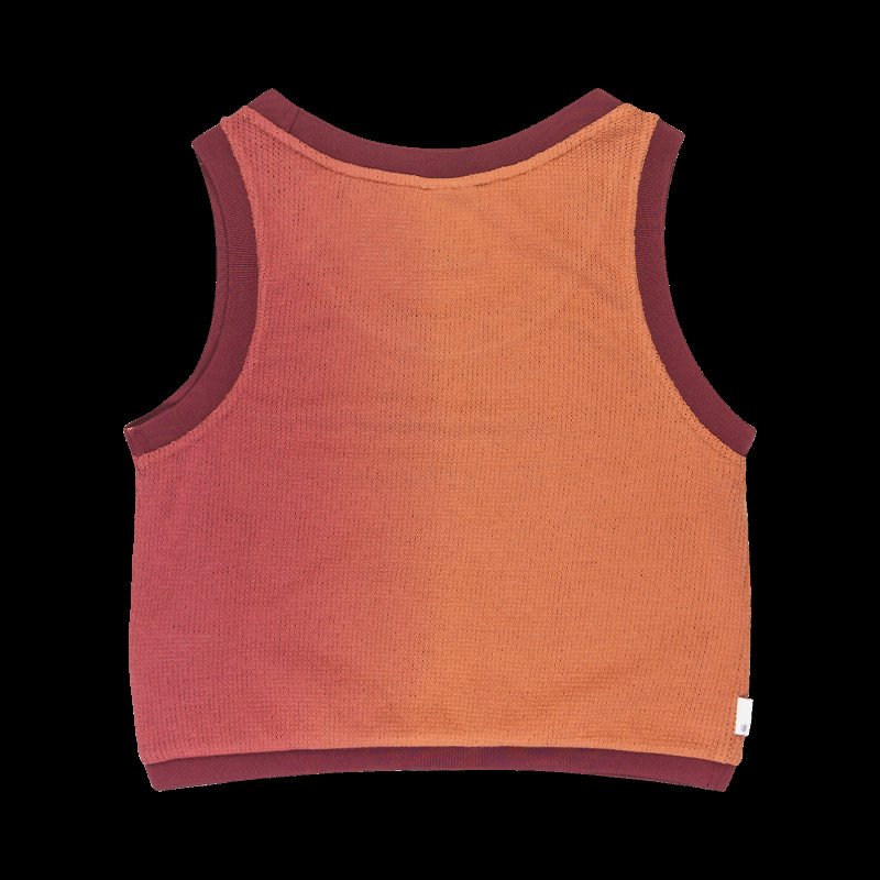 Mesh Crop Top in Pinkzinfandel