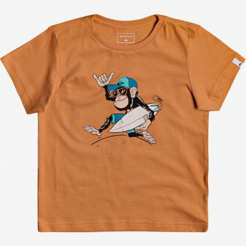 Banana Alley - T-Shirt for Boys 2-7 - Orange - Quiksilver