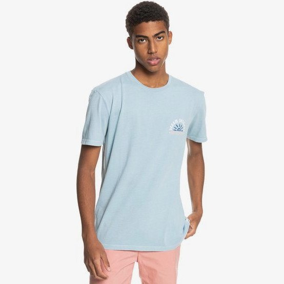 Dream Sessions - Organic T-Shirt for Men - Blue - Quiksilver