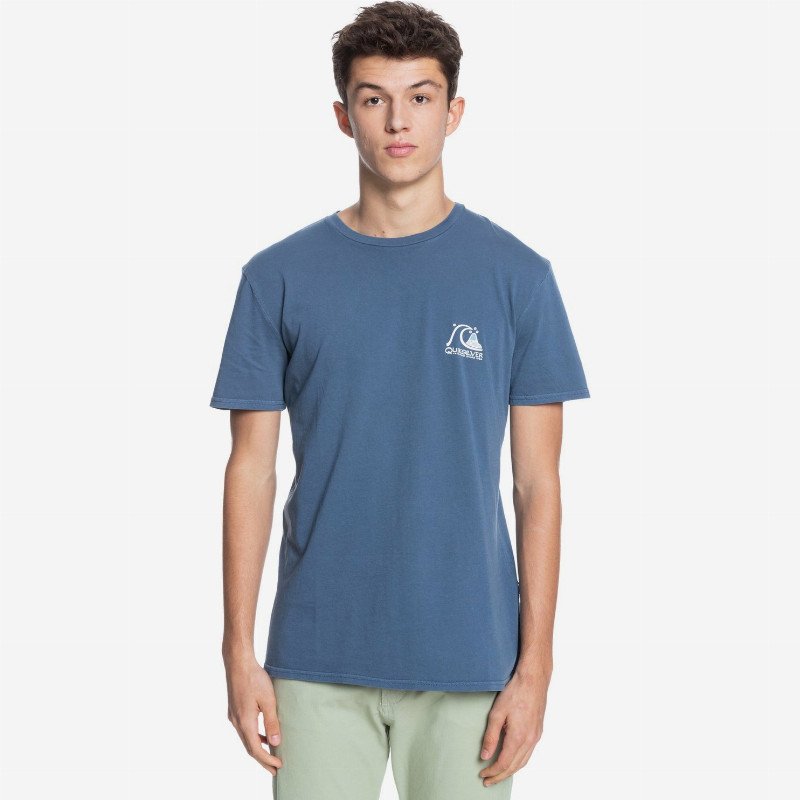 Fresh Take - Organic T-Shirt for Men - Blue - Quiksilver