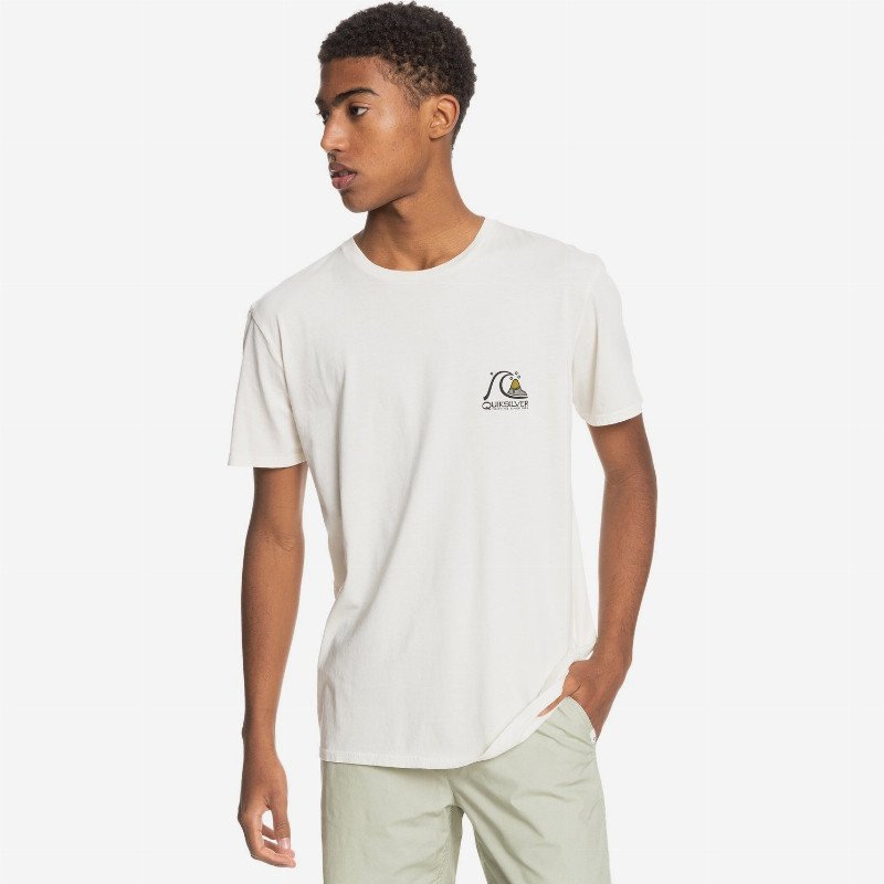 Fresh Take - Organic T-Shirt for Men - White - Quiksilver