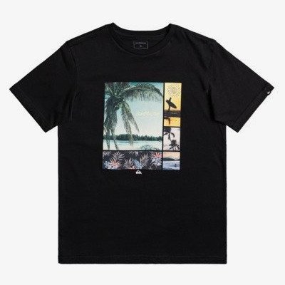 Hidden Cove - T-Shirt for Boys 8-16 - Black - Quiksilver