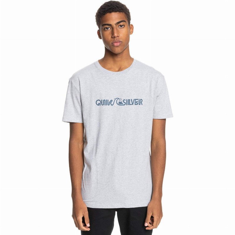 Lightning Express - Organic T-Shirt - Men - L - Grey
