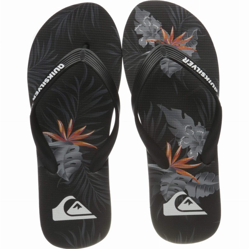 Men's Molokai Everyday Paradise Flip Flop