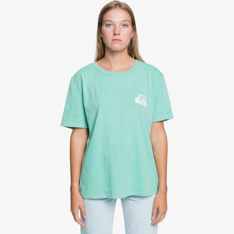 Standard - Organic T-Shirt for Women - Green - Quiksilver